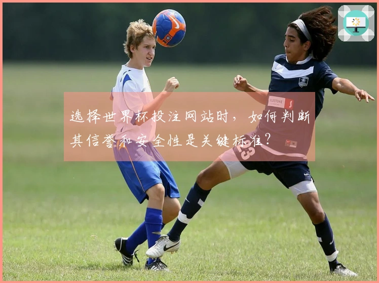 选择世界杯投注网站时，如何判断其信誉和安全性是关键标准？