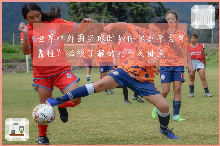世界杯外围买球时如何识别平台可靠性？必须了解的几个关键点