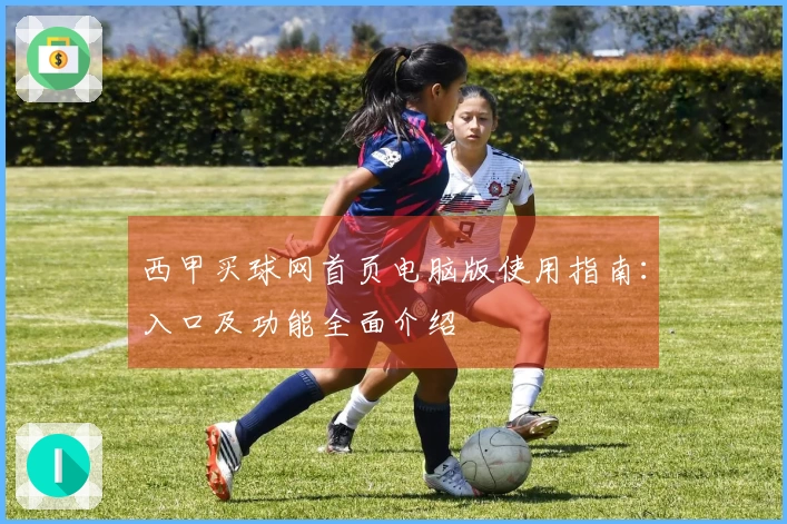 西甲买球网首页电脑版使用指南：入口及功能全面介绍