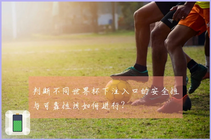 判断不同世界杯下注入口的安全性与可靠性该如何进行？