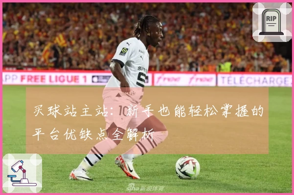 买球站主站：新手也能轻松掌握的平台优缺点全解析