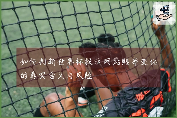 如何判断世界杯投注网站赔率变化的真实含义与风险