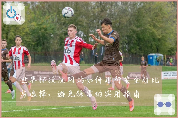 世界杯投注网站如何进行安全对比与选择，避免踩雷的实用指南