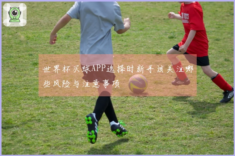 世界杯买球APP选择时新手该关注哪些风险与注意事项