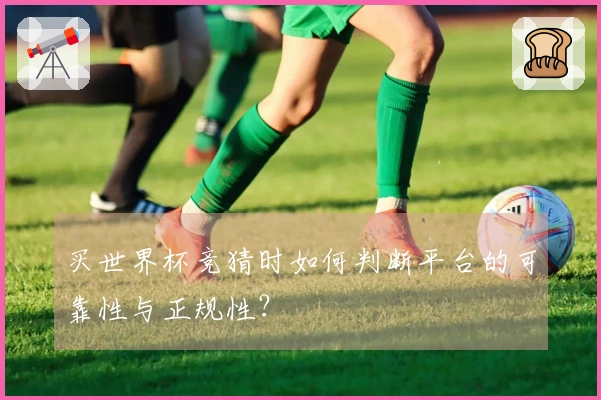 买世界杯竞猜时如何判断平台的可靠性与正规性？