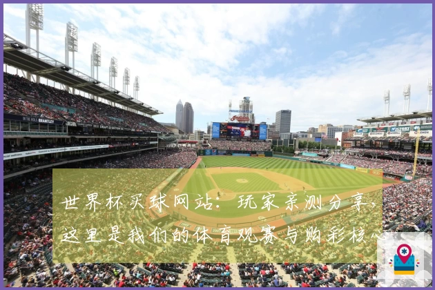 世界杯买球网站：玩家亲测分享，这里是我们的体育观赛与购彩核心优势所在