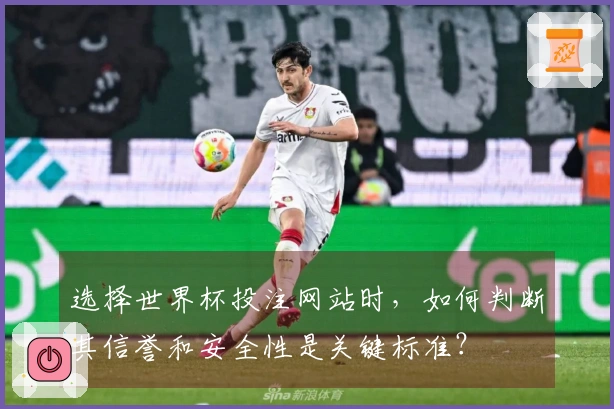 选择世界杯投注网站时，如何判断其信誉和安全性是关键标准？