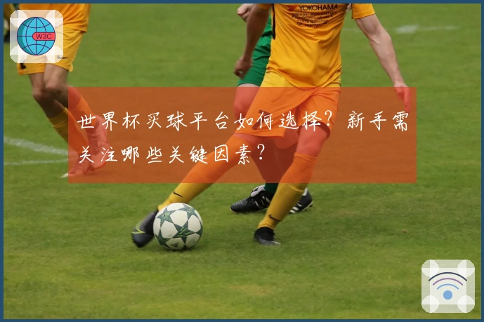 世界杯买球平台如何选择？新手需关注哪些关键因素？