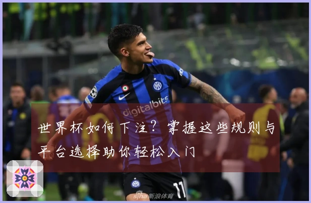世界杯如何下注？掌握这些规则与平台选择助你轻松入门