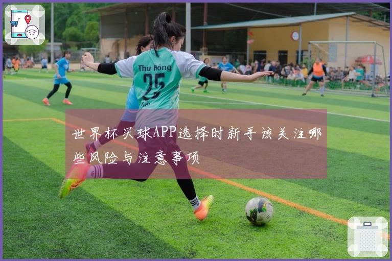 世界杯买球APP选择时新手该关注哪些风险与注意事项